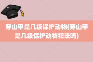 穿山甲是几级保护动物(穿山甲是几级保护动物犯法吗)