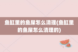 鱼缸里的鱼屎怎么清理(鱼缸里的鱼屎怎么清理的)