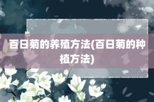 百日菊的养殖方法(百日菊的种植方法)