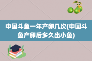 中国斗鱼一年产卵几次(中国斗鱼产卵后多久出小鱼)