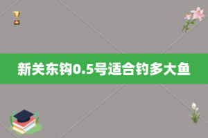 新关东钩0.5号适合钓多大鱼