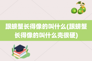 跟螃蟹长得像的叫什么(跟螃蟹长得像的叫什么壳很硬)