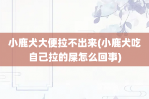 小鹿犬大便拉不出来(小鹿犬吃自己拉的屎怎么回事)