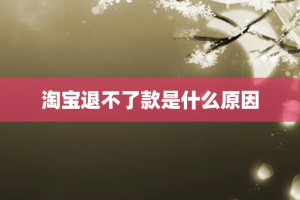 淘宝退不了款是什么原因