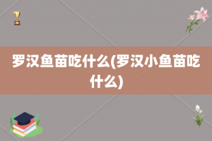 罗汉鱼苗吃什么(罗汉小鱼苗吃什么)