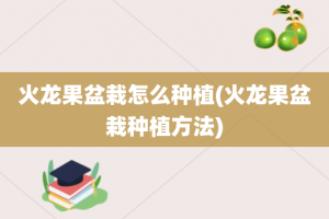 火龙果盆栽怎么种植(火龙果盆栽种植方法)