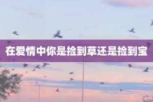 在爱情中你是捡到草还是捡到宝
