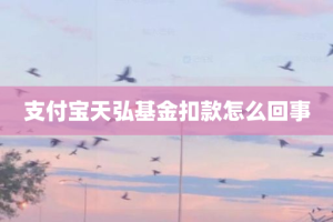 支付宝天弘基金扣款怎么回事