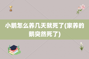 小鹅怎么养几天就死了(家养的鹅突然死了)