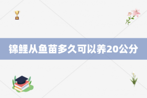 锦鲤从鱼苗多久可以养20公分