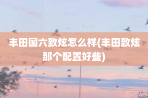 丰田国六致炫怎么样(丰田致炫那个配置好些)