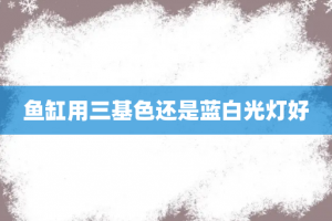 鱼缸用三基色还是蓝白光灯好