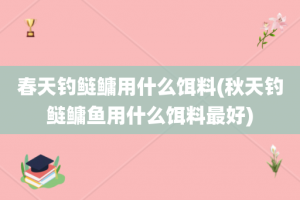 春天钓鲢鳙用什么饵料(秋天钓鲢鳙鱼用什么饵料最好)