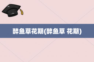 醉鱼草花期(醉鱼草 花期)
