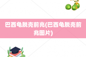 巴西龟脱壳前兆(巴西龟脱壳前兆图片)