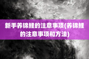 新手养锦鲤的注意事项(养锦鲤的注意事项和方法)