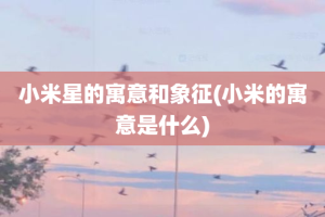 小米星的寓意和象征(小米的寓意是什么)