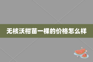 无核沃柑苗一棵的价格怎么样
