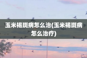 玉米褐斑病怎么治(玉米褐斑病怎么治疗)