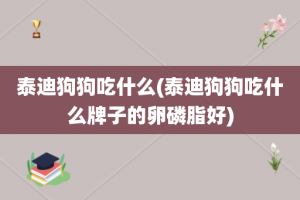 泰迪狗狗吃什么(泰迪狗狗吃什么牌子的卵磷脂好)