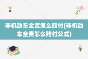 非机动车全责怎么赔付(非机动车全责怎么赔付公式)