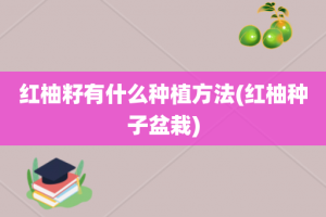 红柚籽有什么种植方法(红柚种子盆栽)