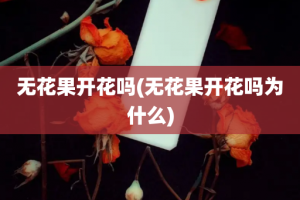 无花果开花吗(无花果开花吗为什么)