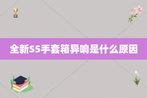 全新S5手套箱异响是什么原因