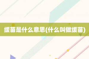 缓苗是什么意思(什么叫做缓苗)