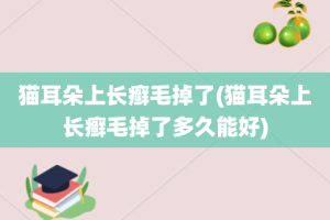 猫耳朵上长癣毛掉了(猫耳朵上长癣毛掉了多久能好)