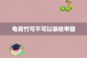 龟背竹可不可以吸收甲醛