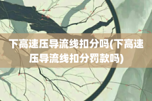 下高速压导流线扣分吗(下高速压导流线扣分罚款吗)