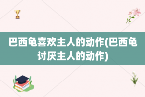 巴西龟喜欢主人的动作(巴西龟讨厌主人的动作)