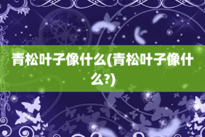 青松叶子像什么(青松叶子像什么?)