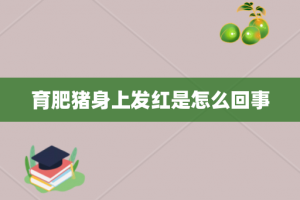 育肥猪身上发红是怎么回事