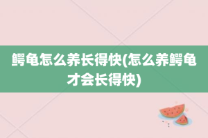 鳄龟怎么养长得快(怎么养鳄龟才会长得快)