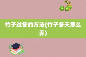 竹子过冬的方法(竹子冬天怎么养)