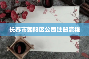 长春市朝阳区公司注册流程