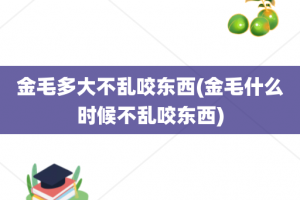 金毛多大不乱咬东西(金毛什么时候不乱咬东西)