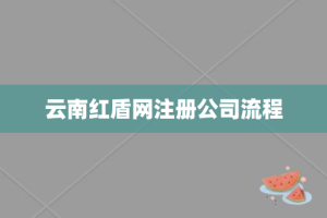 云南红盾网注册公司流程