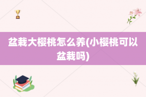 盆栽大樱桃怎么养(小樱桃可以盆栽吗)
