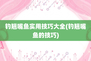 钓翘嘴鱼实用技巧大全(钓翘嘴鱼的技巧)