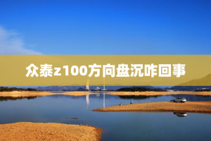 众泰z100方向盘沉咋回事