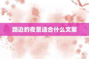路边的夜景适合什么文案