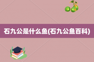 石九公是什么鱼(石九公鱼百科)