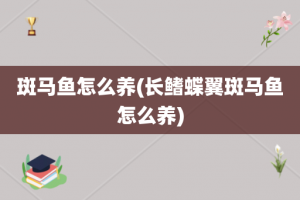 斑马鱼怎么养(长鳍蝶翼斑马鱼怎么养)