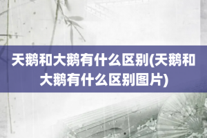 天鹅和大鹅有什么区别(天鹅和大鹅有什么区别图片)