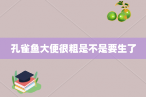 孔雀鱼大便很粗是不是要生了