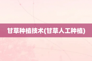 甘草种植技术(甘草人工种植)