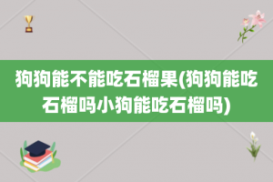 狗狗能不能吃石榴果(狗狗能吃石榴吗小狗能吃石榴吗)